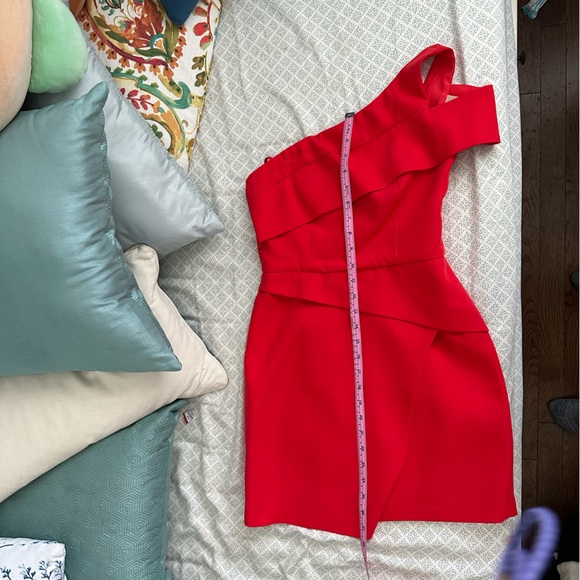 BCBG maxazria dress - Picture 5 of 8